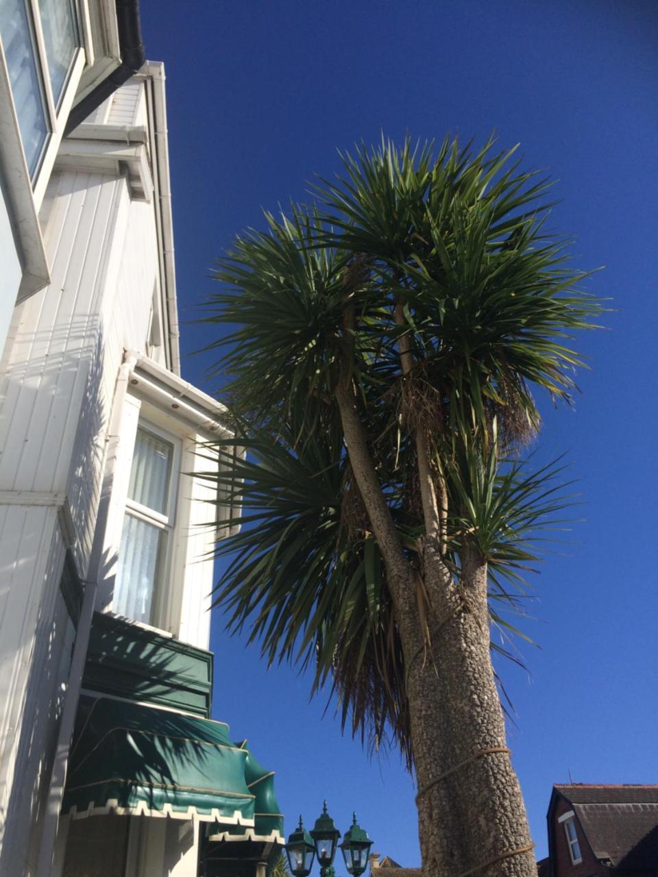 The Haldon Guest House Paignton Esterno foto